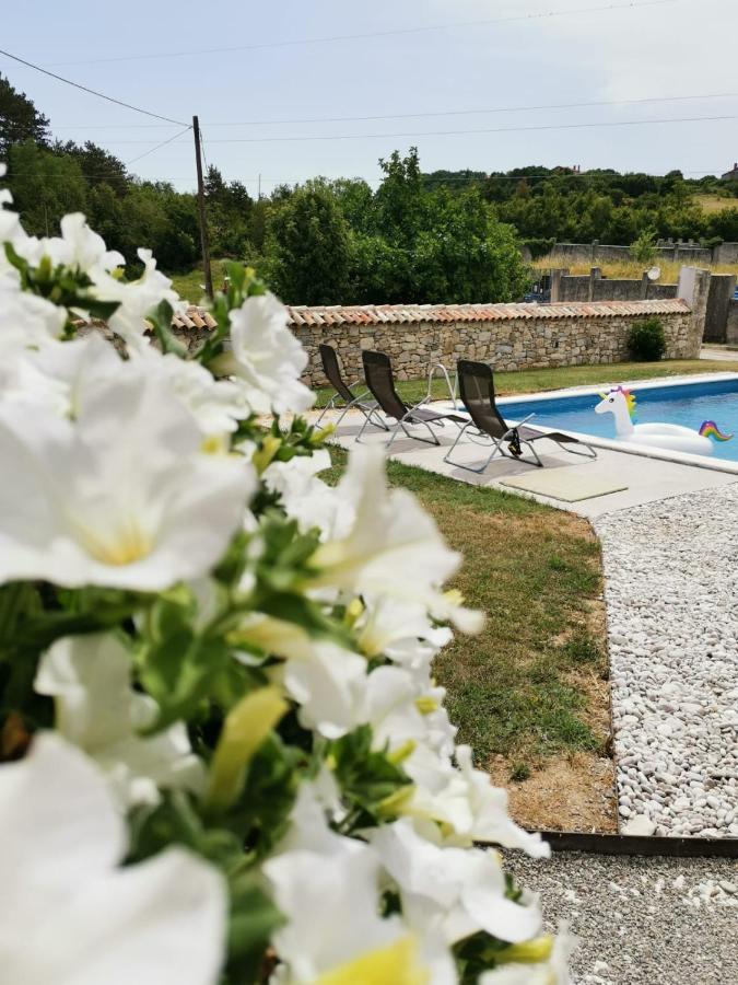 Villa Accordia Labin  Exterior photo
