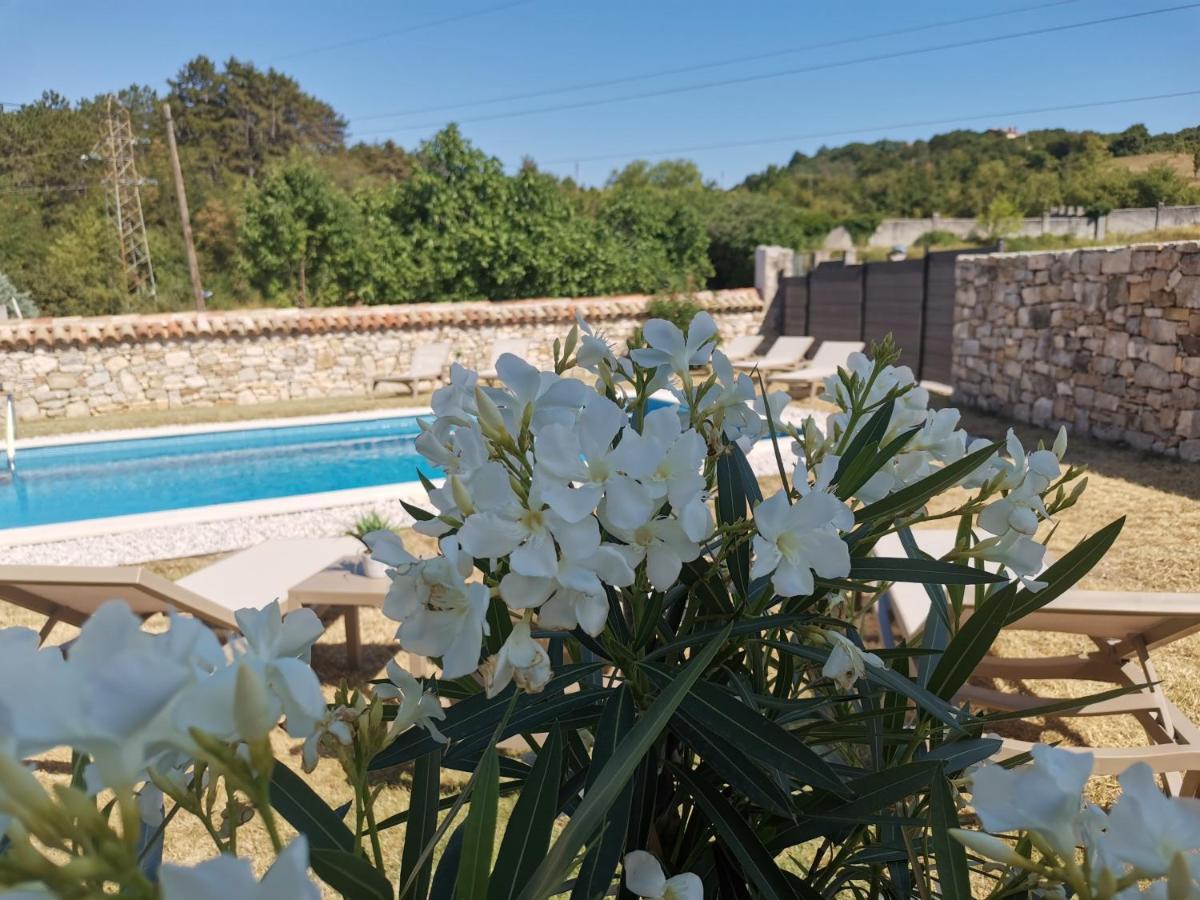 Villa Accordia Labin  Exterior photo